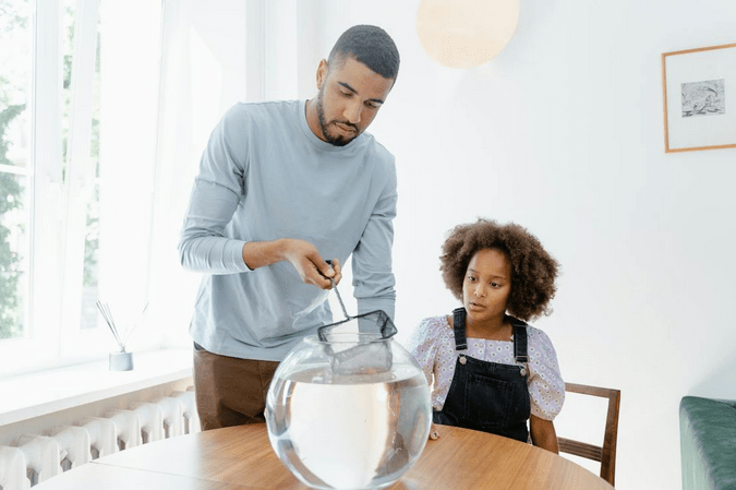 The Most Common Fish Tank Filter Issues